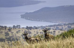 Afrika Ruanda Wilderness Akagera National Park Magashi_07-18_-156_1920