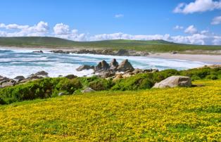 West Coast National Park