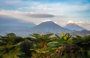 Afrika Ruanda Volcanoes National Park Sabinyo Silverback Lodge sabyinyo-dannaall