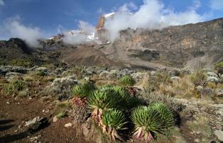 Tanzania shutterstock Kilimanjaro_BarrancoCamp_Blick_shutterstock_1920