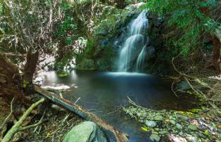 Neuseeland shutterstock New Zealand_PohatuMarineReserve_shutterstock_1920