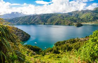 Neuseeland shutterstock New_Zealand_ViewOverQueenCharlotte_shutterstock_1920