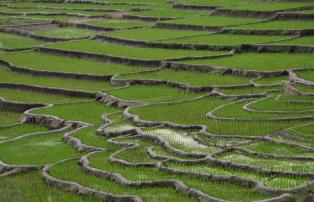 Plantage Flores Landschaft