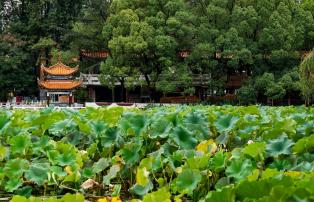 China shutterstock China_Kunming_CuihuLake_Lotos_shutterstock_1920