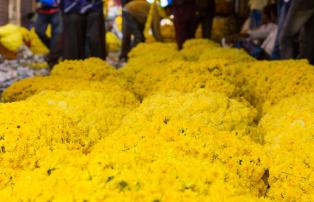 Indien shutterstock Asien_Indien_Mysuru_DevrajaMarket_MarigoldFlowers_shuttersto