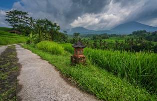 Indonesien shutterstock Asien_Indonesien_Bali_WakaGangga_Tabanan_RiceFlields_shu