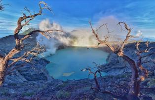 Indonesien shutterstock Asien_Indonesien_Ijen_MountIjen_Crater_Trees_shutterstoc