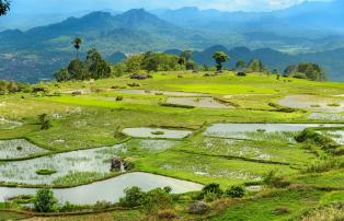 Indonesien shutterstock Asien_Indonesien_PuncakLakawang_shutterstock_1920