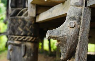 Indonesien shutterstock Asien_Indonesien_TanjungPuting_DayakLonghouse_Detail_shu