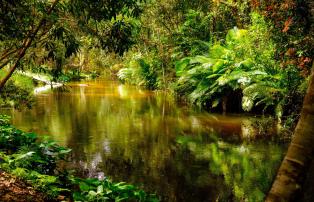 Kambodscha shutterstock Asien_Cambodia_SiemReap_RiverOfThousandLinga_shutterstoc