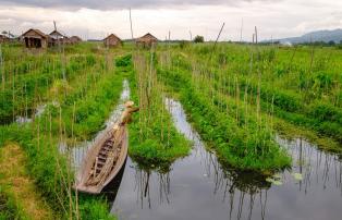 Myanmar shutterstock Asien_Myanmar_InleLake_FloatingGarden_shutterstock_1920