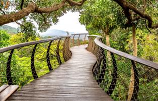 Kirstenbosch Gardens