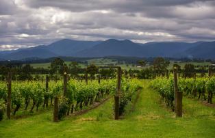 Australien Yarra Valley