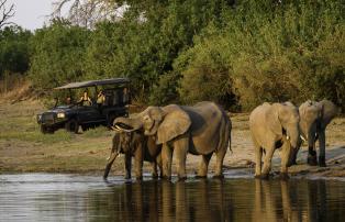 Botswana Linyanti Kings-Pool-Camp KingsPool_2017-11-4