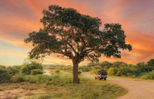 Sri Lanka Wild Coast Tented Lodge