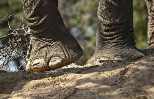 Afrika Namibia Etosha-Damara Damaraland-Camp OEVANS-9872_2_1920