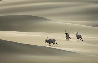 Afrika Namibia Skeleton-Coast Serra-Cafema Serra_Cafema_2014-08-46_1920