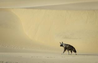 Afrika Namibia Skeleton-Coast Serra-Cafema Serra_Cafema_2014-08-95_1920