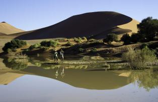 Afrika Namibia Sossusvlei Kulala-Desert-Lodge Sossulvlei_3-11_170_1920
