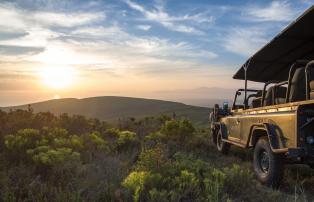 Afrika Südafrika Greater-Overberg Grootbos-Nature-Reserve web-grootbos-experienc