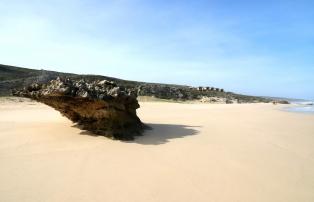 Afrika Südafrika Greater-Overberg Lekkerwater-Beach-Lodge 4De Hoop - Chalets ove