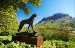 Afrika Südafrika Winelands Delaire-Graff-Lodges cheetah_1920