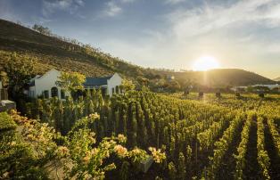 Afrika Südafrika Winelands Leeu Estates Leeu Estates - Vineyard Cottage - Hero s