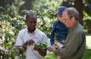 Afrika Tansania Arusha Arusha Coffee Lodge ArushaCoffeeLodge - Coffee Tour (c)Si