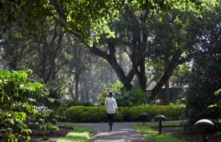 Afrika Tansania Arusha Arusha Coffee Lodge ArushaCoffeeLodge - Leafy Gardens (c)