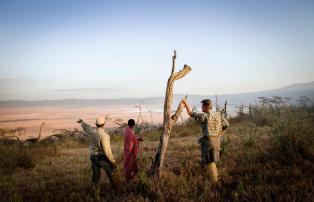 Afrika Tansania Ngorongoro Entamanu Ngorongoro EntamanuNgorongoro17_1920