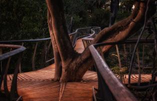 Botswana Okavango Chitabe Walkway_jumction