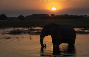 Botswana Linyanti Kings-Pool-Camp KingsPool_2017-11-70