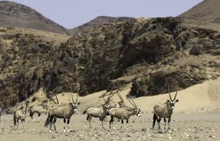Namibia Skeleton-Coast Hoanib Skeleton Coast Camp Hoanib075