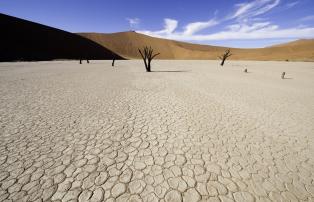 Namibia Sossusvlei Little Kulala Sossusvlei307