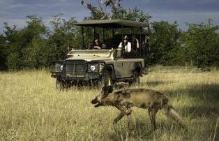 Botswana Linyanti Kings-Pool-Camp Kings_Pool_2015-03-83