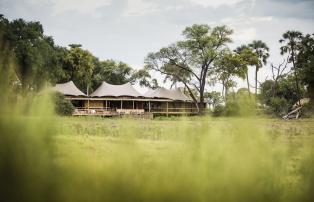 Botswana Okavango Mombo Mombo-CrookesAndJackson-031