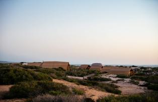 Australien_NZ_Polynesien Australien Western Australia Ningaloo Coast Sal Salis S