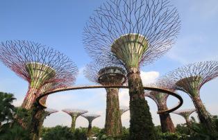Asien Singapur Singapore - Gardens by the Bay (4)_1920