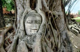 Asien Thailand Ayutthaya - Wat Mahatad_1920