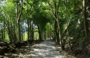 Asien Thailand Kanchanaburi - Hellfire Pass_1920