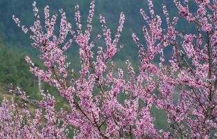 Asien Bhutan Tourism_Council_Bhutan DSC_6225_1920