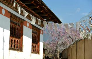 Asien Bhutan Tourism_Council_Bhutan DSC_6257_1920