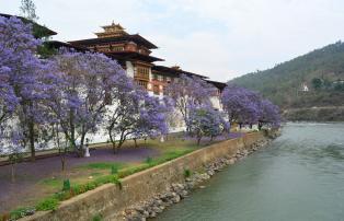 Asien Bhutan Tourism_Council_Bhutan DSC_7781_1920
