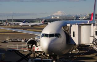 Narita Airport