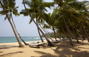 Asien Sri Lanka Amanwella Amanwella, Sri Lanka - Beach_High Res_6836_1920