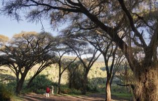 Afrika Tansania Ngorongoro Sanctuary Ngorongoro Crater Camp SR002277_1920