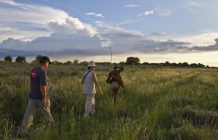 Afrika Botswana Kalahari Plains Camp Walking Safari