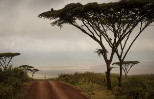 Afrika Tansania Ngorongoro The Highlands Highlands-Ngorongoro-landscape-Eliza-De