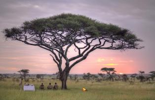 Afrika Tansania Serengeti East Ehlane Plains Camp Nasikia Ehlane 2019-15.1_1920