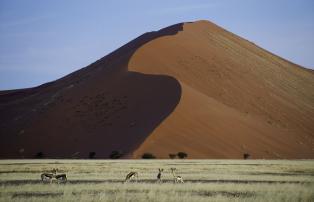 Namibia Sossusvlei Little Kulala Sossusvlei081